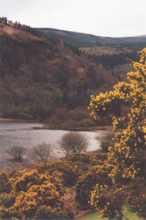 Glendalough