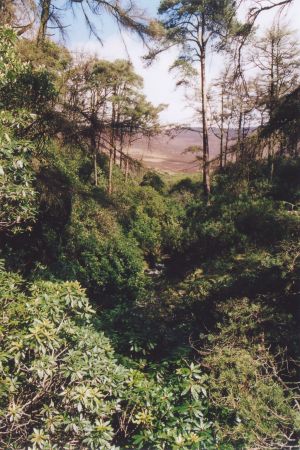 Knockmealdown Mountains
