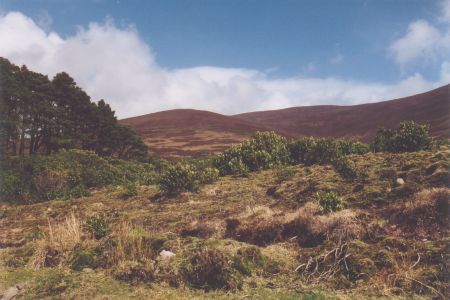 Knockmealdown Mountains